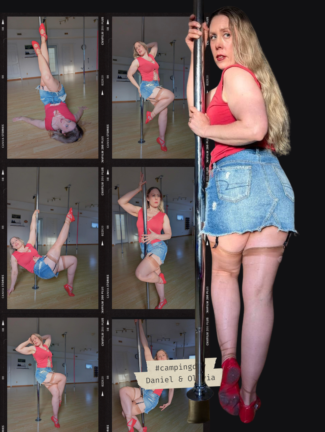 poledance shadowdancer majestballerina