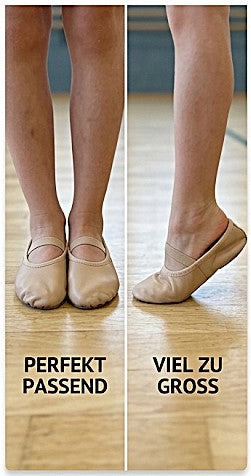 wir suchen Majestiballerina Testerinnen  (ai generated pic)