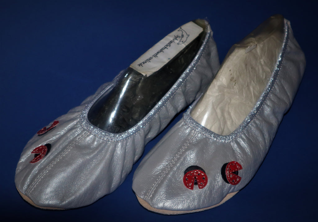 silber Gymnastikschuhe
