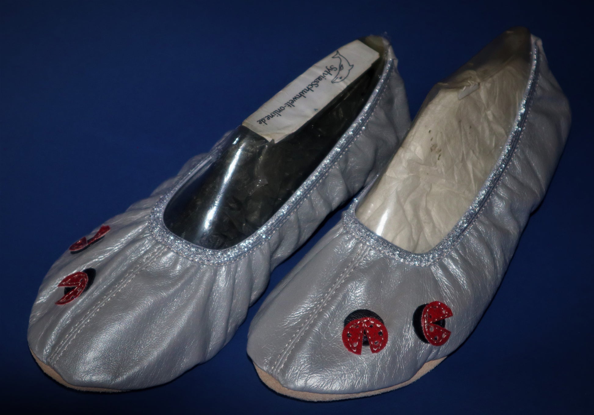 silber Gymnastikschuhe